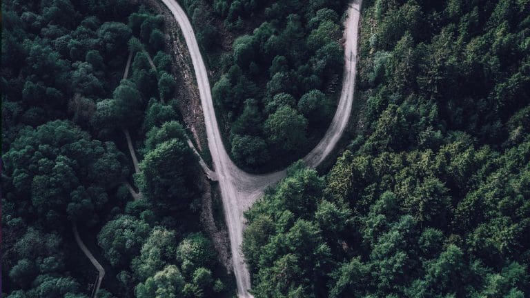 Eine Aufnahme aus der Vogelperspektive einer Straßengabelung im Wald.