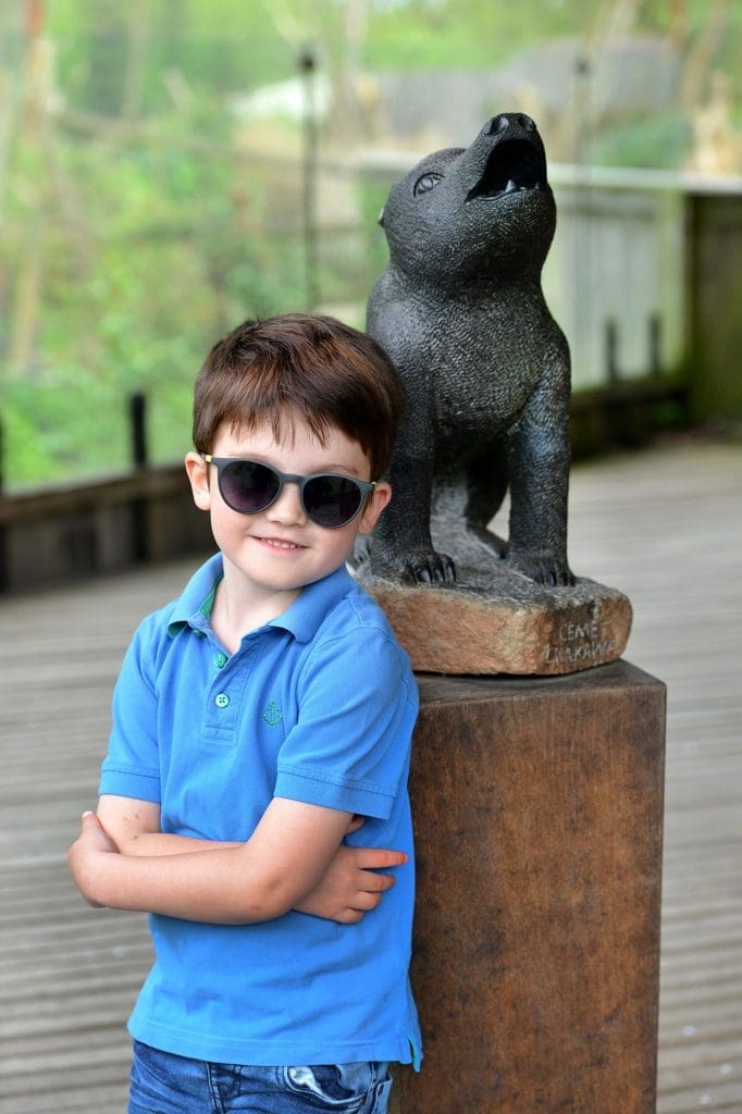 Aoyama | NO! | 8003 | 3 | 47-18 Mit Sonnenclip