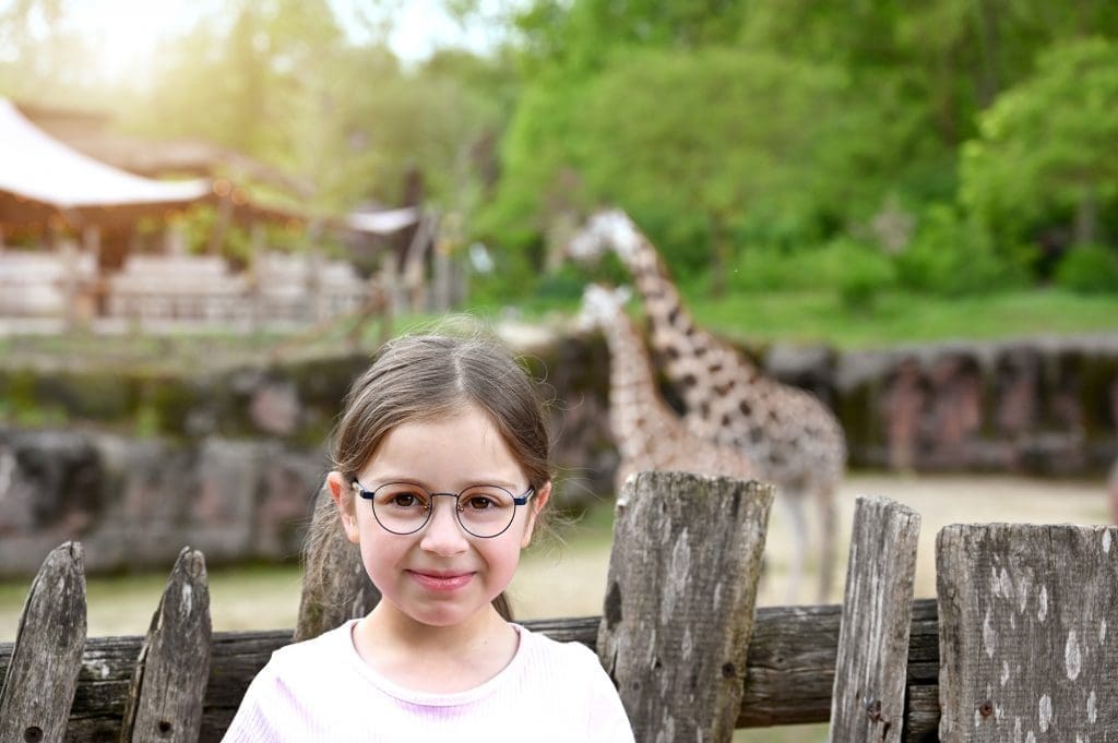 IVKO | Paw Patrol | pp04 | 10 | 42-14