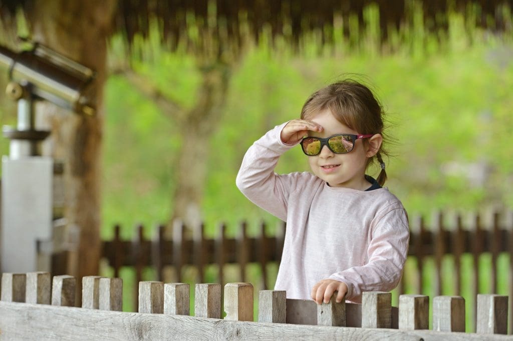 Julbo | Arcade | J556 | 11 | 46