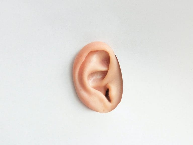 Menschliches Ohr