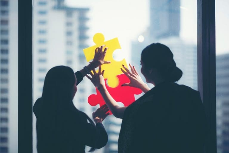 Opticland und Optics Network: Strategischer Zusammenschluss