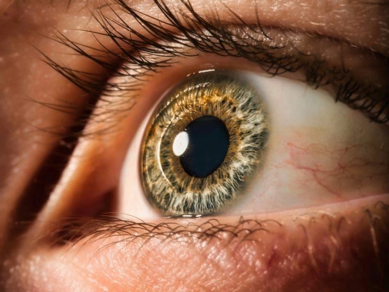 Menschliches Auge in Nahaufnahme