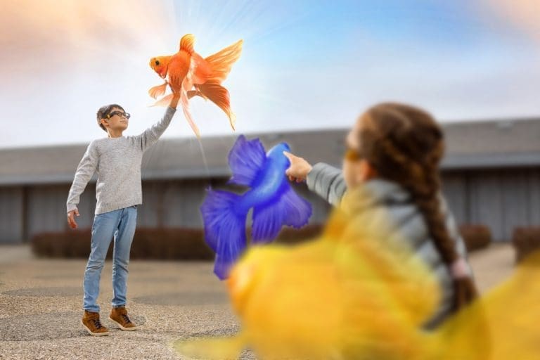 CREAL: Eine völlig neue Art der subjektiven Refraktion