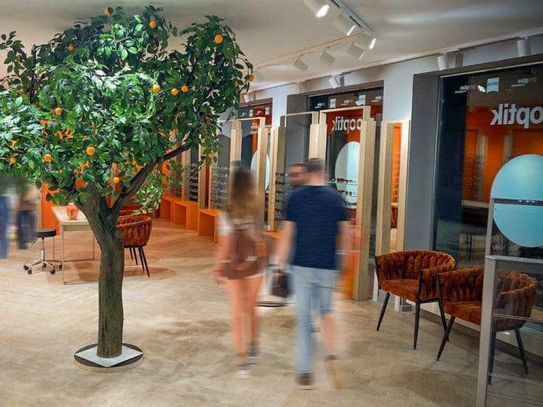 Neues Pro Optik-Geschäft in Balingen, Innenansicht