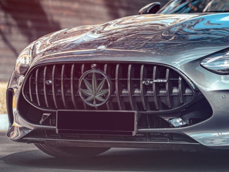 Cannabis im Straßenverkehr