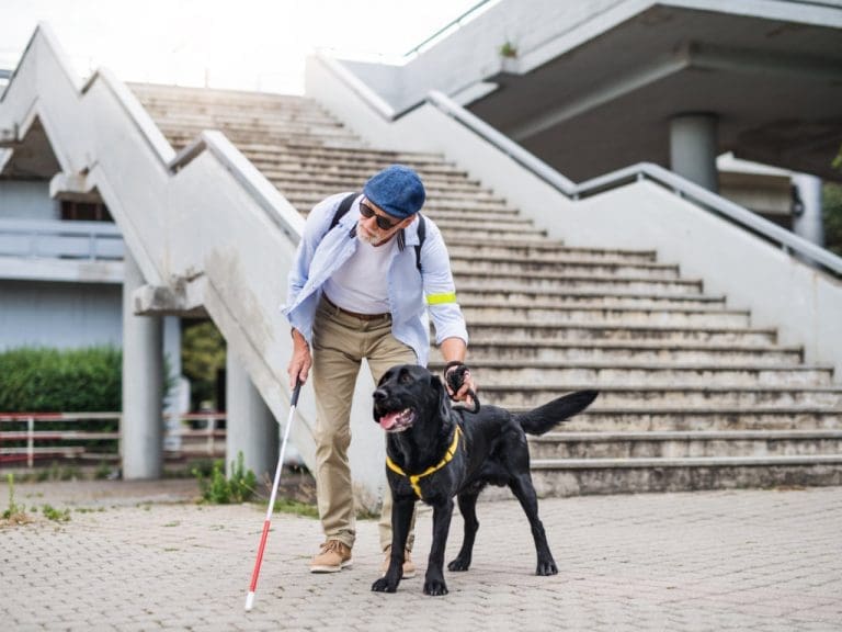 Älterer blinder Mann mit Blindenhund, der an der Straße steht